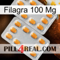 Filagra 100Mg cialis4